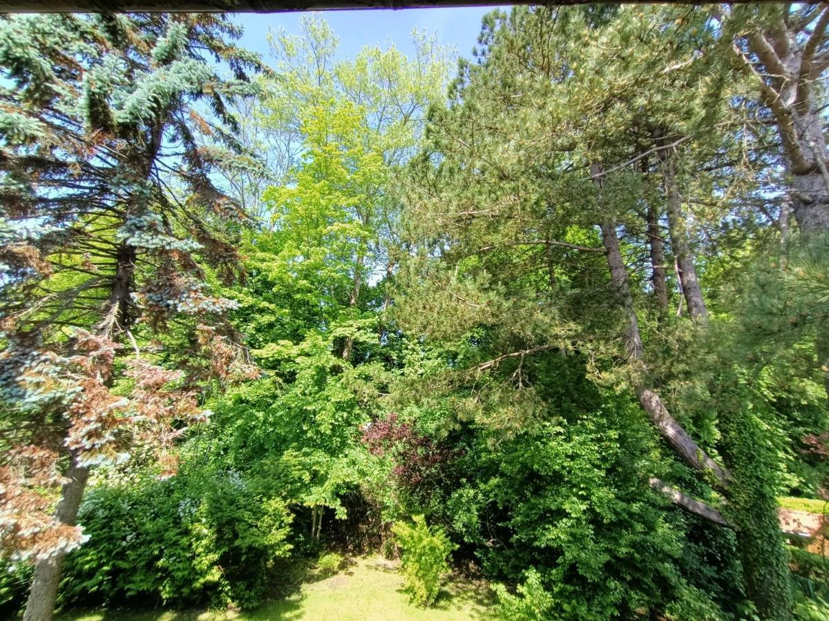 Villa 100 M Du Touquet Entre Foret Et Mer キュク エクステリア 写真