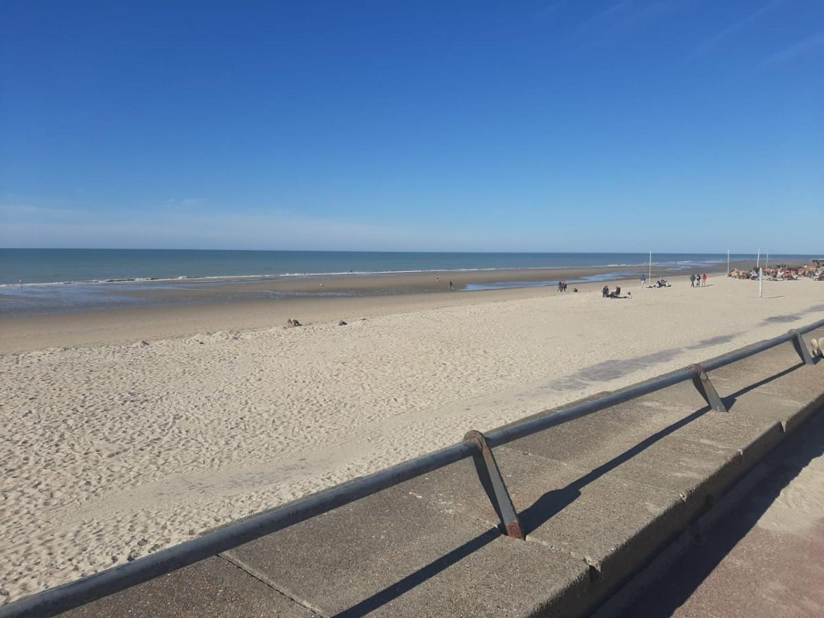 Villa 100 M Du Touquet Entre Foret Et Mer キュク エクステリア 写真